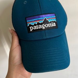 Patagonia trucker hat